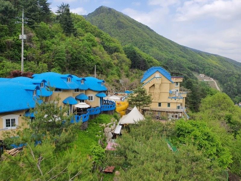 Bonnie Blue Dog Pension 팁 & 고려사항 이미지