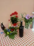 Apartment with One Bedroom , Mendula Apartments