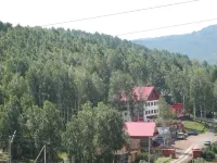 33 Bears