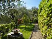 Villa Paradiso (Dol190)