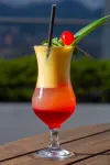 聖費爾南多廣場飯店 - 酒吧