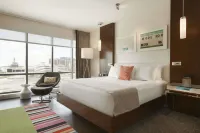 The Alexander