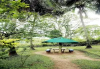 Jungle Paradise Farm & Guest House Hotels near Wenlock Downs 9th Mile Shooting Point