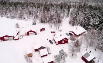 Maatilamatkailu Ilomaki