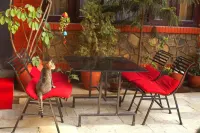 Royal Atlantic Home - Pet friendly