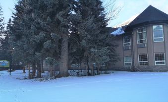 Mountain View Inn