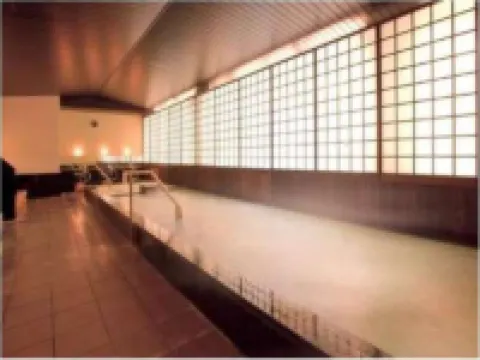 Naruko Hotel Hotels in Osaki