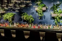 Motel One Bonn-Hauptbahnhof - bar