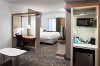 SpringHill Suites Orlando at SeaWorld