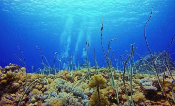 4. 헐 홈 홈스테이..