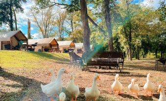 10 Blue River Camp - Glamping Cabin