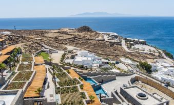 Tropicana Hotel , Suites & Villas Mykonos