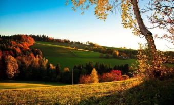 NaturSinne - Hotel Czerwenka