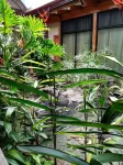 Apartotel Don Francisco Hotels in Escazu
