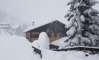 Xalet Refugi Pere Carné