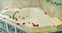 Elk Forge Bed and Breakfast - Hot Tub