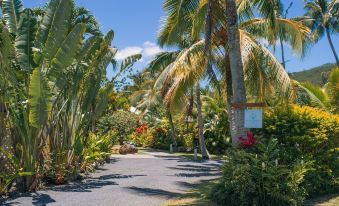 Arcadia Retreat Rarotonga