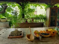 Weihai Yunzai B&B (International Seaside resort Pier Store)