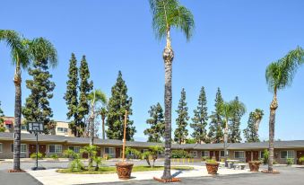 Americas Best Value Inn and Suites San Bernardino - Housity