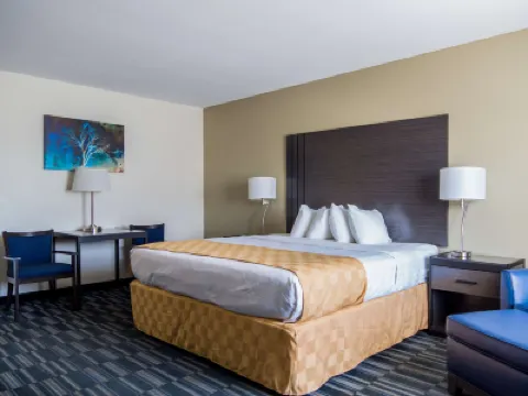 بست ويسترن ألاموسا إن فنادق في 