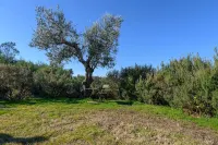 Laje da Bica Agroturismo Hotels in Donas