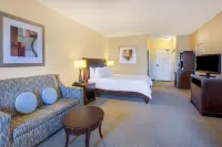 Hilton Garden Inn South Padre Island Beachfront Hotels near Sea Turtle, Inc.