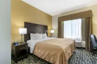 Spark by Hilton La Grange