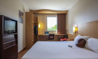 Ibis Plzen