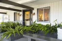 Dr Wilkinsons Backyard Resort and Mineral Springs a Member of Design Hotels - spa