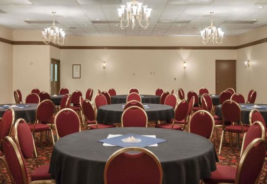 데이즈 인 화이트호스