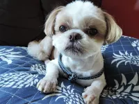 Wakamatsu Ryokan Hotels in Kamisu