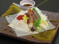 Sansatei Hotels in Zao