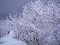 Shougetsukan Hotels in Yoshino