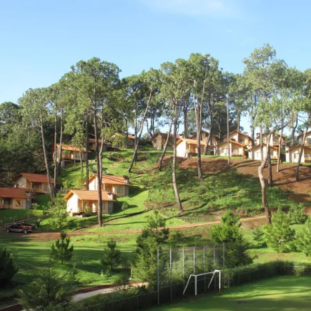 Bosque Escondido