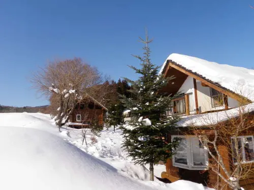 Evergreen Hotels in Katashina