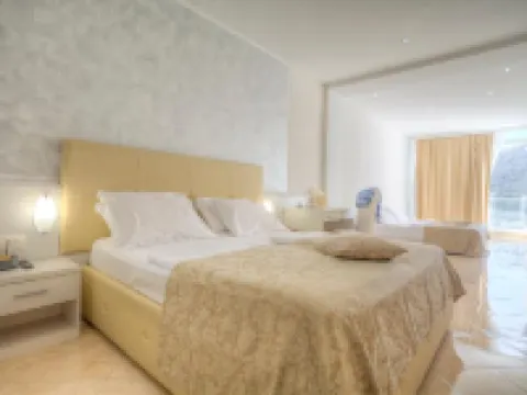 Hotel Hedera - Maslinica Hotels & Resorts Hotels in Rabac