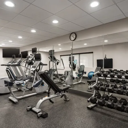 Holiday Inn Express & Suites MCDONOUGH by IHG