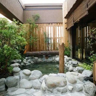 Dormy Inn Matsumoto Natural Hot Spring Hotels near Kaichi School Museum