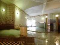 Yumoto Kanko Hotel Saikyo - Kuumat lähteet