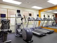 Homewood Suites by Hilton Richmond-Chester - gimnasio
