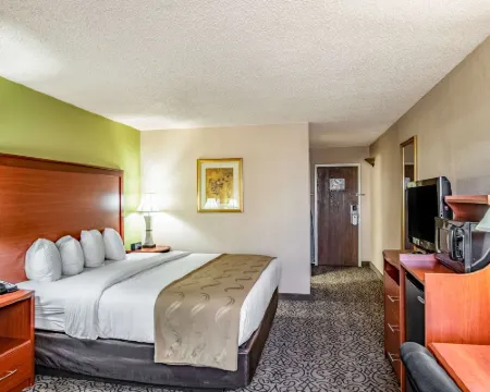 Quality Inn Trinidad Hotels in Trinidad