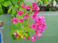 Smile Hotel Selayang Point Hotels in Batu Caves