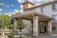 Comfort Inn & Suites Hotels in McQueeney