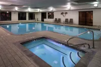 Hampton Inn & Suites Carson City - Hot Tub