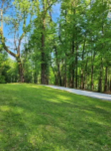 Downtown Helen House on 4 acres adjoining Unicoi State Park. Hikers Paradise!!!
