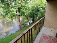 On the Little River in the heart of Townsend, with a beautiful view! 타운센드 호텔