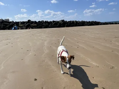 In the heart of Sheringham, a short walk to the Blue Flag beach and promenade. Отели рядом с достопримечательностью «Cromer Beach»