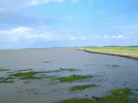 Modern vacation apartment with direct view of the North Sea and swimming pool