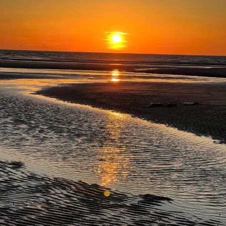 New!! Enjoy the Most Spectacular Sunsets in Cape May County! Dog friendly!