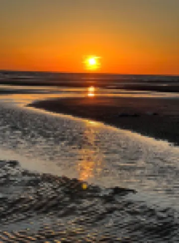 New!! Enjoy the Most Spectacular Sunsets in Cape May County! Dog friendly! Hotels in Villas